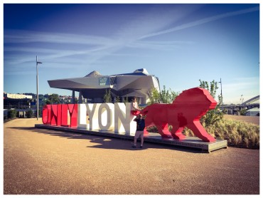 la-sculpture-onlylyon-au-musee-des-confluences